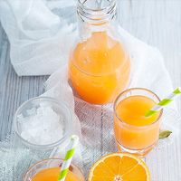 Crafty Cultures Water Kefir Grains